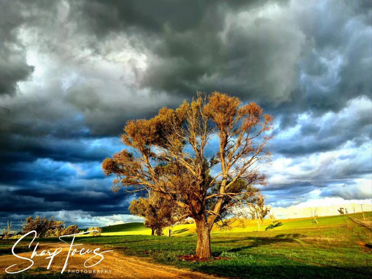 Wantana Cottage Farmstay Boorowa Exteriör bild